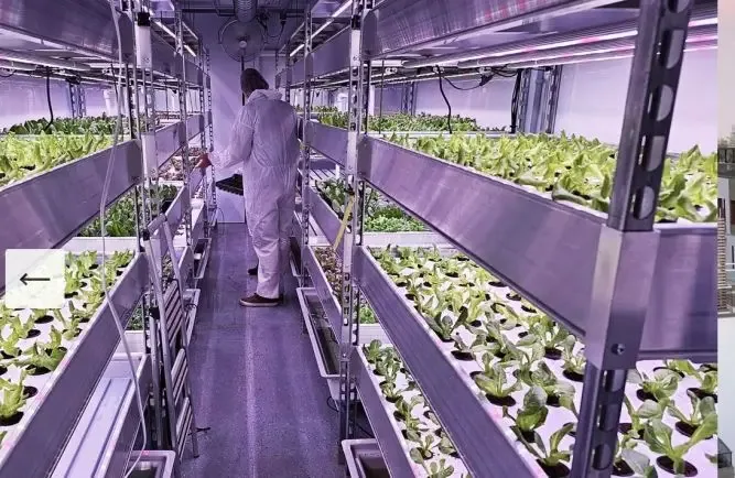 Green Food Solutions Franchise