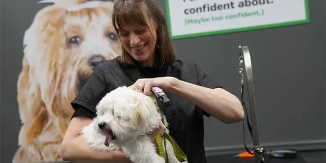 Pet Supplies Plus Franchise