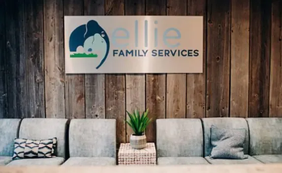 Ellie Mental Health Franchise