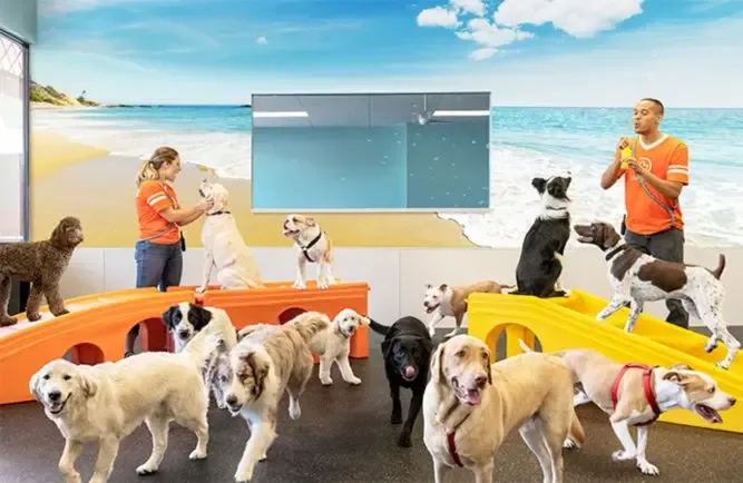 Dogtopia Franchise