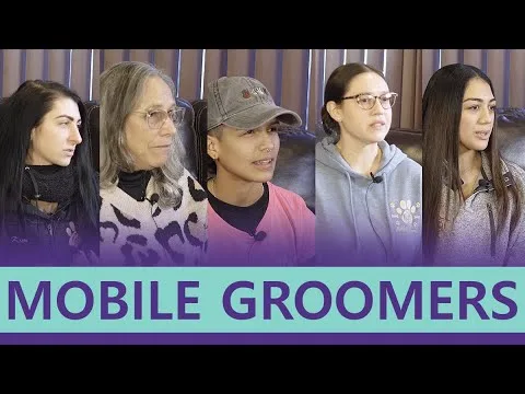 Dapper Tails Mobile Pet Grooming video