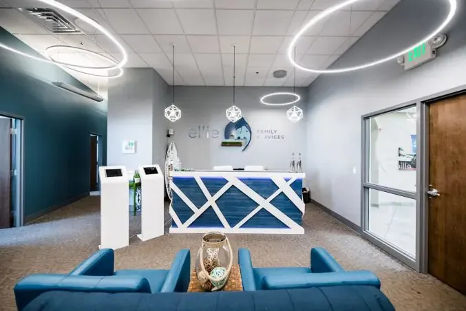 Ellie Mental Health Franchise