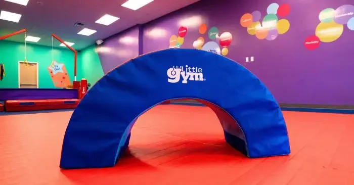 Little Gym Franchise