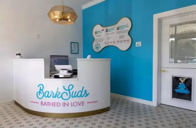 BarkSuds Dog Franchise