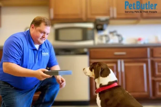 Pet Butler Franchise
