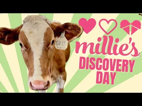 Millie’s Homemade video