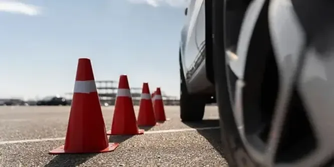 Jungle Driving School Franchise