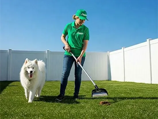 Cooper's Scoopers Dog Waste Franchise