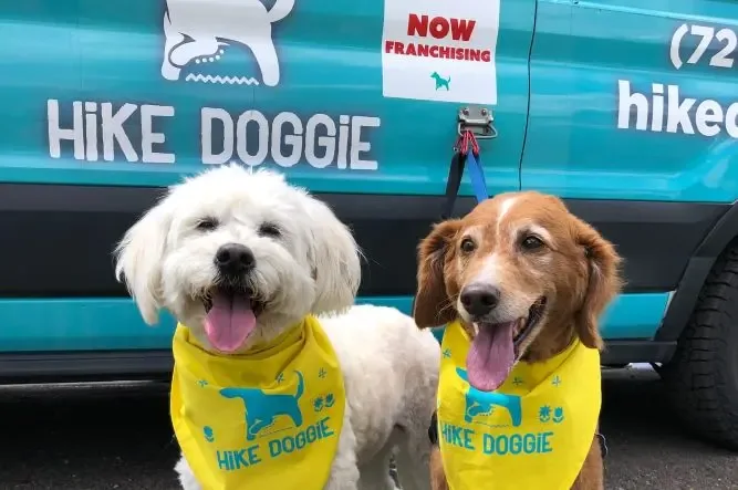 Hike Doggie Franchise Dogs getting ready to hike