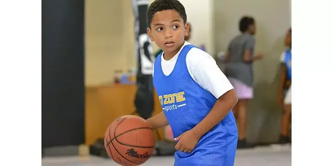 N Zone Sports Franchise
