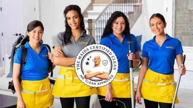 The Maids Franchise