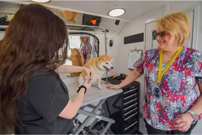 Kontota Mobile Grooming Franchise