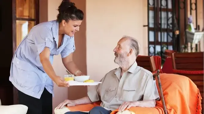 Cerna Homecare Franchise Companion