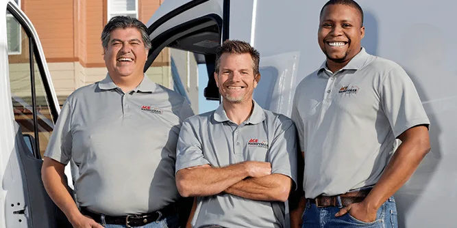Ace Hardware Franchise Introduction