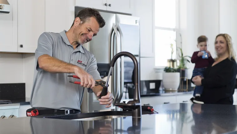 Ace Handyman Services Franchise