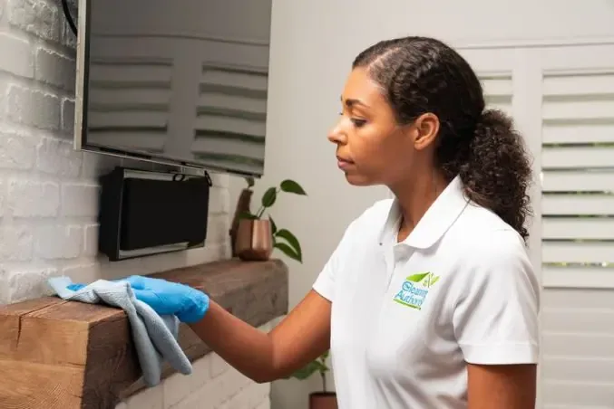 The Cleaning Authority Franchise