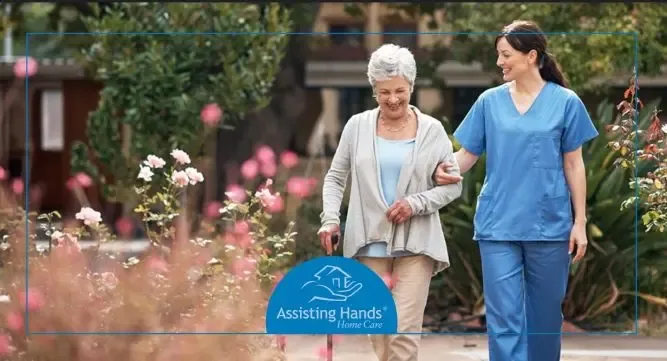 Assisting Hands Franchise Overview