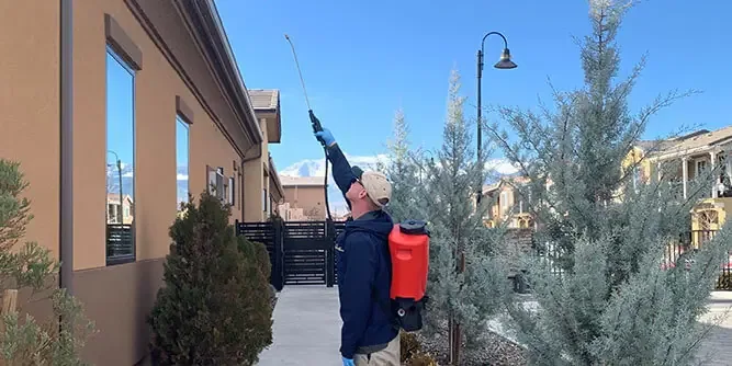 Pestmaster Services Franchise employee spraying for pests